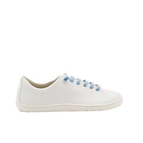 4364 SNEAKER CORDONELASTICO BLANCO-CELESTE